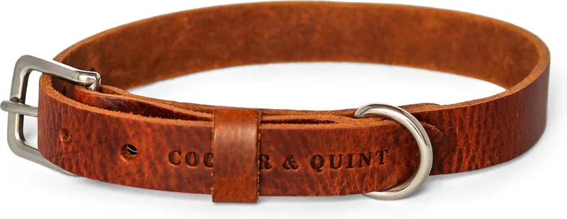 No Fuss - Halsband Hond - Leren Halsband Hond - Bruin - Zilver - Medium de Cooper & Quint en Marron – photo produit