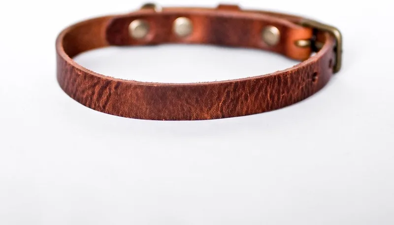 No Fuss - Halsband Hond - Leren Halsband Hond - Oud messing - Extra Small de Cooper & Quint en Marron – photo produit