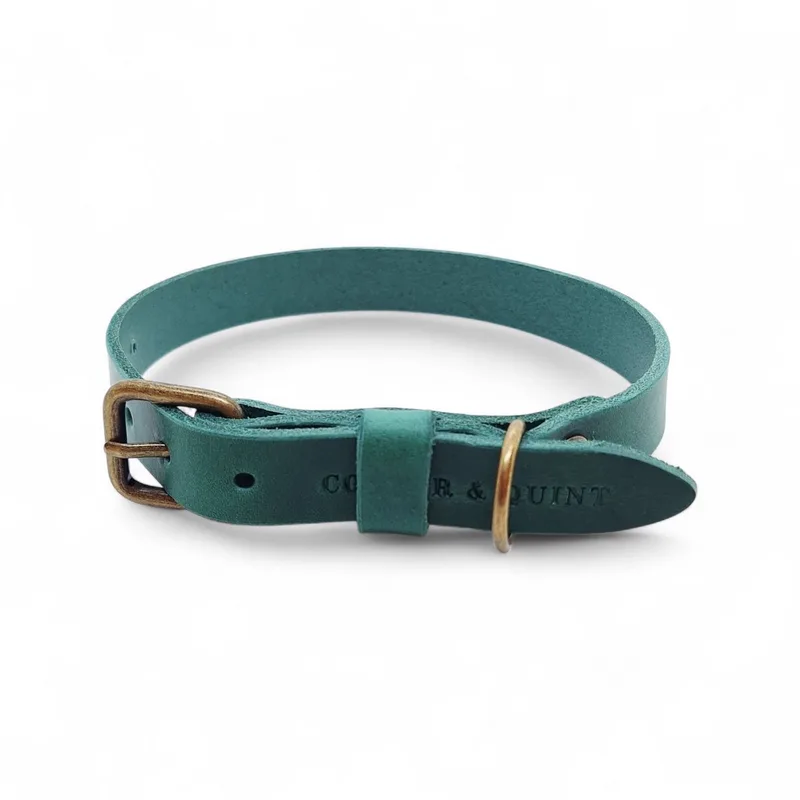 No Fuss - Halsband Hond - Leren Halsband Hond - Oud Messing - L by Cooper & Quint in Green – product photo