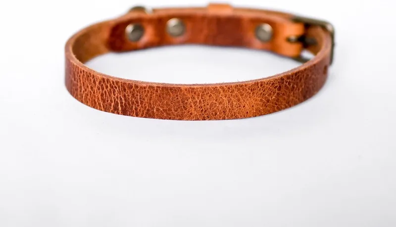 No Fuss - Halsband Hond - Leren Halsband Hond - Oud messing - Large de Cooper & Quint en Camel – photo produit