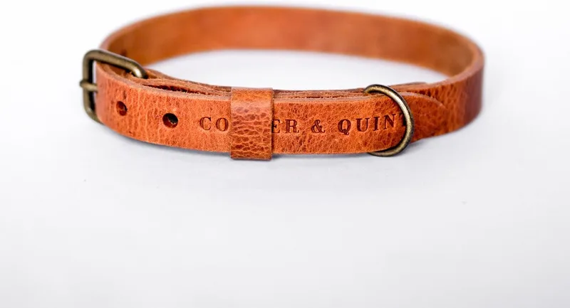 No Fuss - Halsband Hond - Leren Halsband Hond - Oud messing - Medium von Cooper & Quint in Camel – Produktfoto