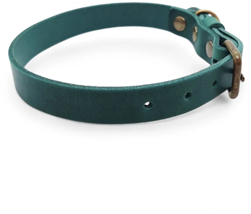 No Fuss - Halsband Hond - Leren Halsband Hond - Oud Messing - S von Cooper & Quint in Grün – Produktfoto