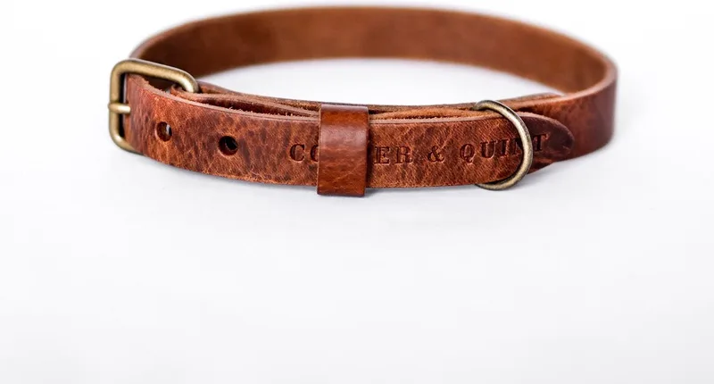 No Fuss - Halsband Hond - Leren Halsband Hond - Oud messing - Small fra Cooper & Quint i Brun – produktbillede