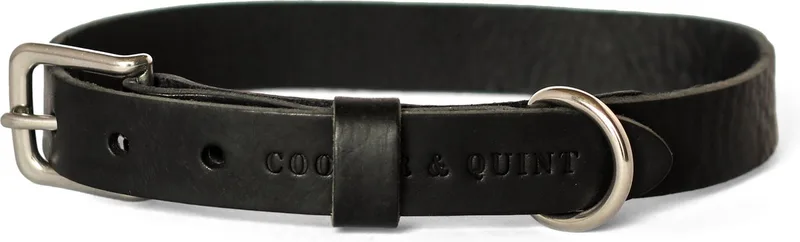 No Fuss - Halsband Hond - Leren Halsband Hond - Zilver - Extra Small by Cooper & Quint in Black – product photo