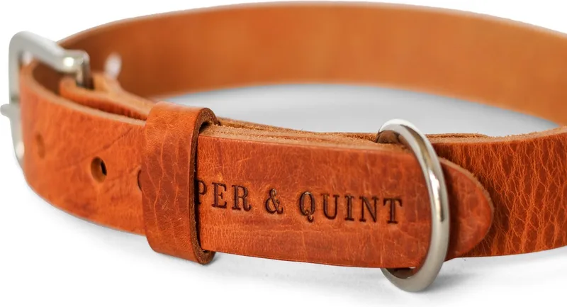 No Fuss - Halsband Hond - Leren Halsband Hond - Zilver - Extra Small von Cooper & Quint in Camel – Produktfoto