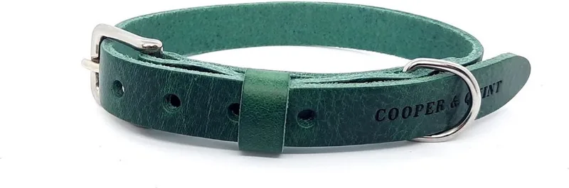 No Fuss - Halsband Hond - Leren Halsband Hond - Zilver - Large by Cooper & Quint in Green – product photo