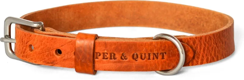 No Fuss - Halsband Hond - Leren Halsband Hond - Zilver - Small de Cooper & Quint en Camel – photo produit