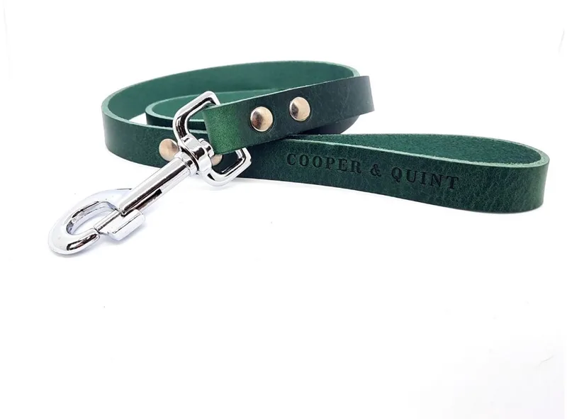 No Fuss Hondenriem - Breed - 105cm - Zilver by Cooper & Quint in Green – product photo