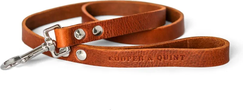 No Fuss Hondenriem - Bruin - Breed - 105 cm - Zilver de Cooper & Quint en Marron – photo produit