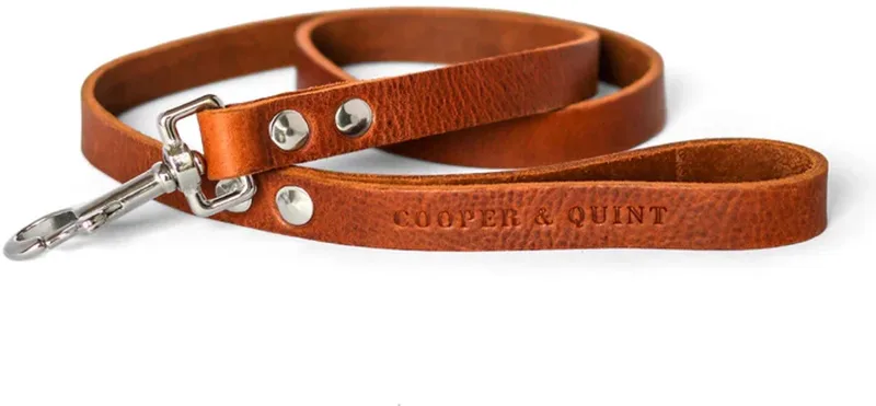 No Fuss Hondenriem - Bruin - Breed - 140cm - Zilver fra Cooper & Quint i Brun – produktbillede