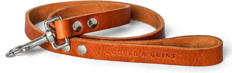 No Fuss Hondenriem Leer- - Smal - 105cm - Zilver fra Cooper & Quint i Camel – produktbillede