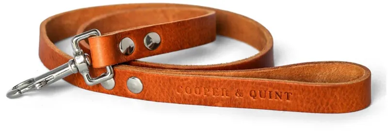No Fuss Hondenriem Leer- - Smal - 140cm - Zilver von Cooper & Quint in Camel – Produktfoto
