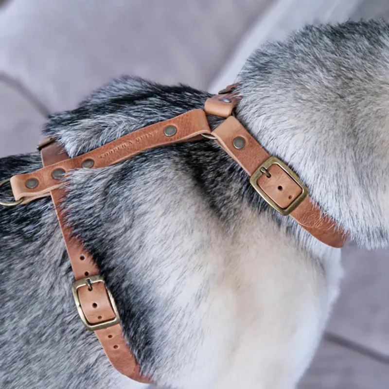 No Fuss Y-Tuig - Camel - Large - Oud Messing by Cooper & Quint in Camle – product photo