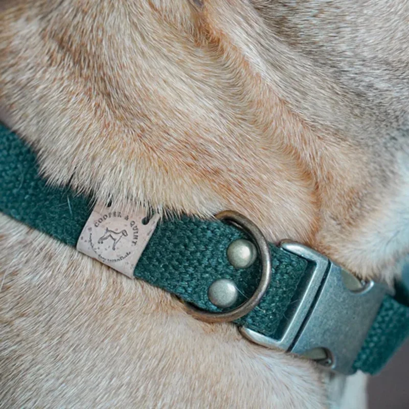 Simply Hemp Halsband - Large - Oud Messing von Cooper & Quint in Bosgroen – Produktfoto