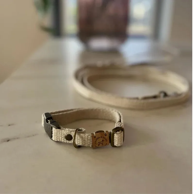 Simply Hemp Halsband - Small - Oud Messing by Cooper & Quint in Schelpenwit – product photo