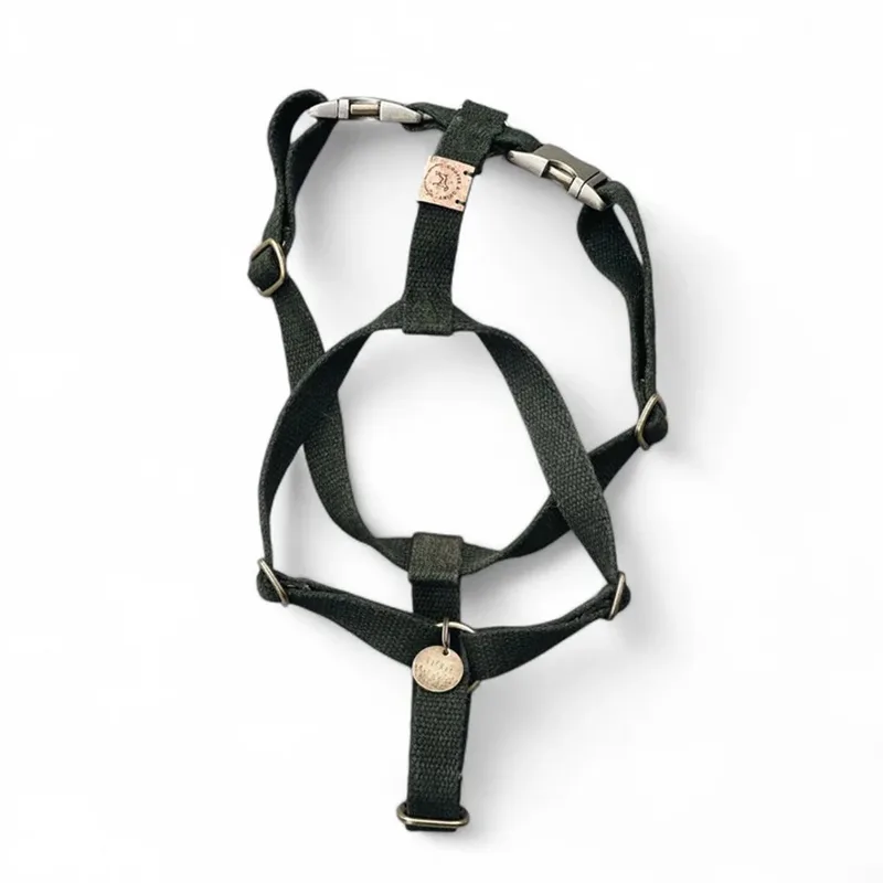 Simply Hemp Hondentuig - Medium - -Oud Messing de Cooper & Quint en Bosgroen – photo produit