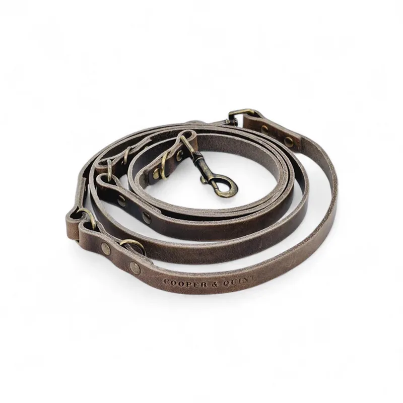 Switch Verstelbare Leren Hondenriem - 2 cm - Oud Messing de Cooper & Quint en Stone – photo produit