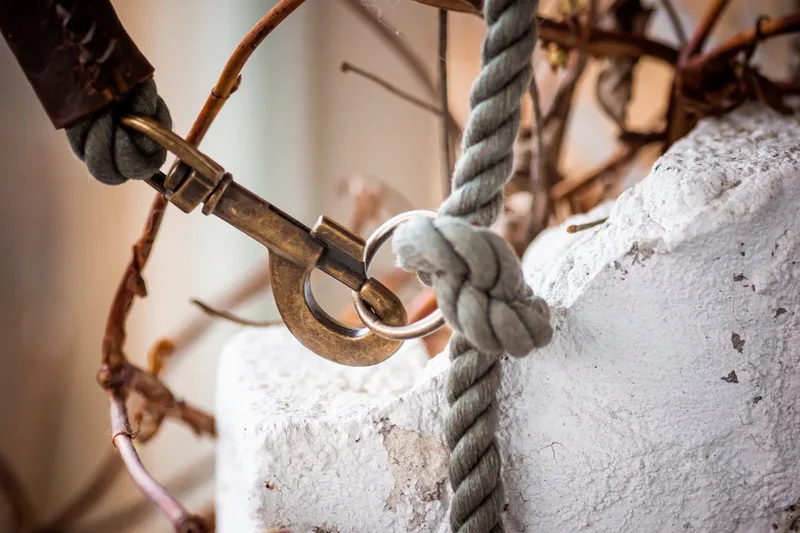 Twisted Cotton Verstelbare Hondenriem - Politielijn hond - Trainingslijn hond - Touwlijn - Katoen - 250cm - Olijfgroen von Cooper & Quint in Grün – Produktfoto