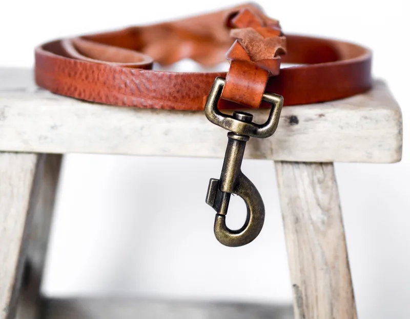 Twisted - Hondenriem gevlochten leer - 105cm - Oud Messing by Cooper & Quint in Camel – product photo