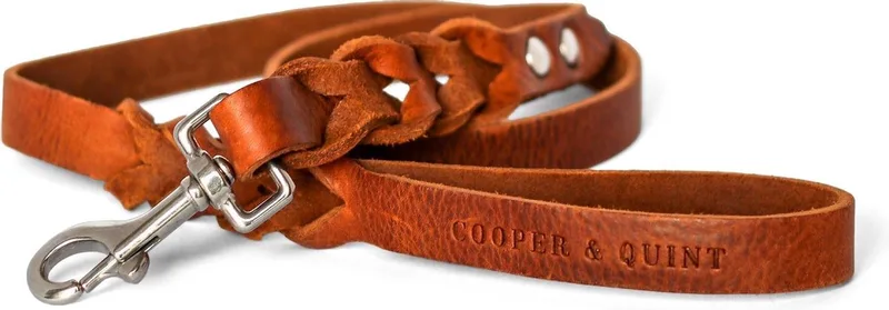 Twisted - Hondenriem gevlochten leer - Bruin - 105cm - Zilver de Cooper & Quint en Marron – photo produit