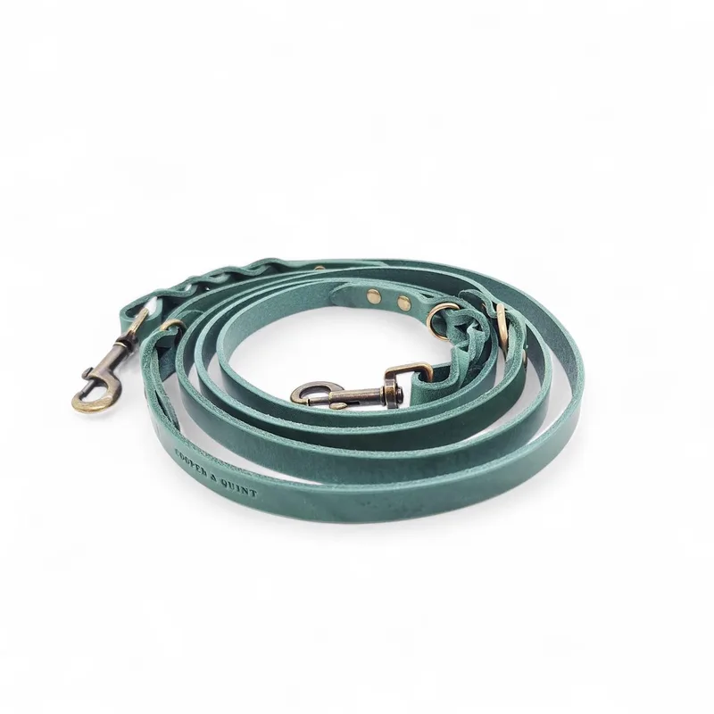 Twisted Switch Verstelbare Hondenriem - 1.5 cm Oud Messing by Cooper & Quint in Green – product photo