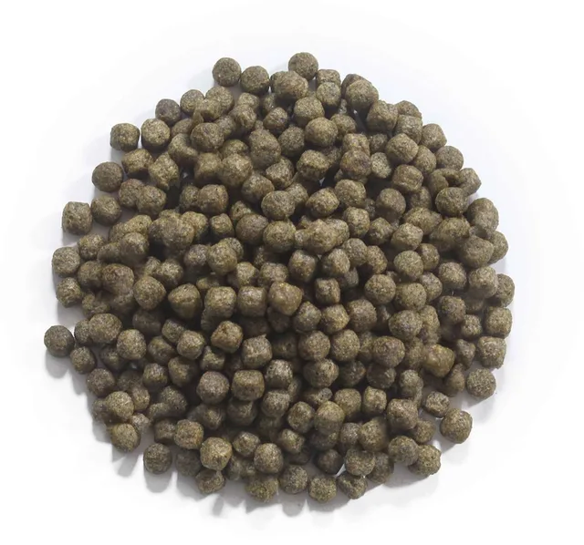 Koivoer Staple 6 mm 15 kg