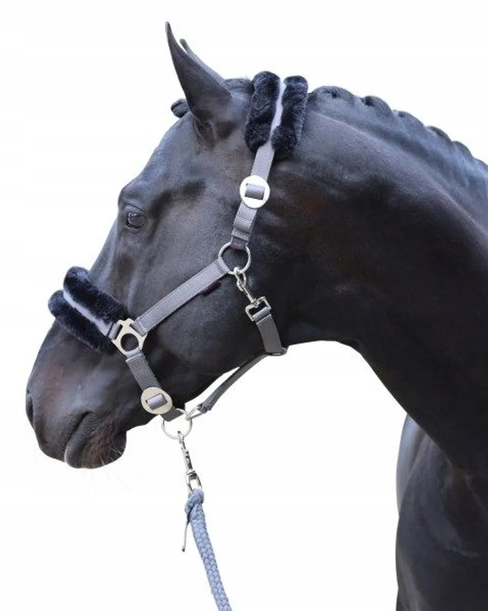 ClassicSoft Hoofdband Paard - Maat Full fra Covalliero i Grå – produktbillede