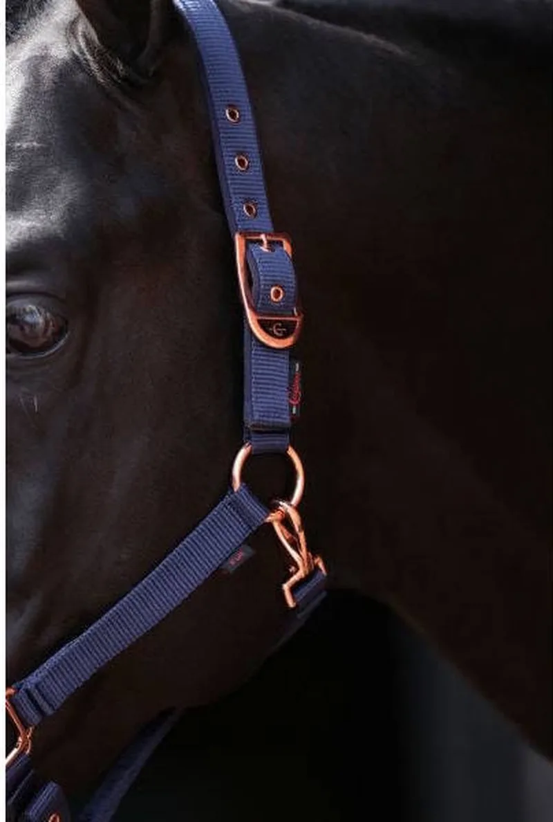 Classy Halster Pony Marineblauw von Covalliero in Marine – Produktfoto