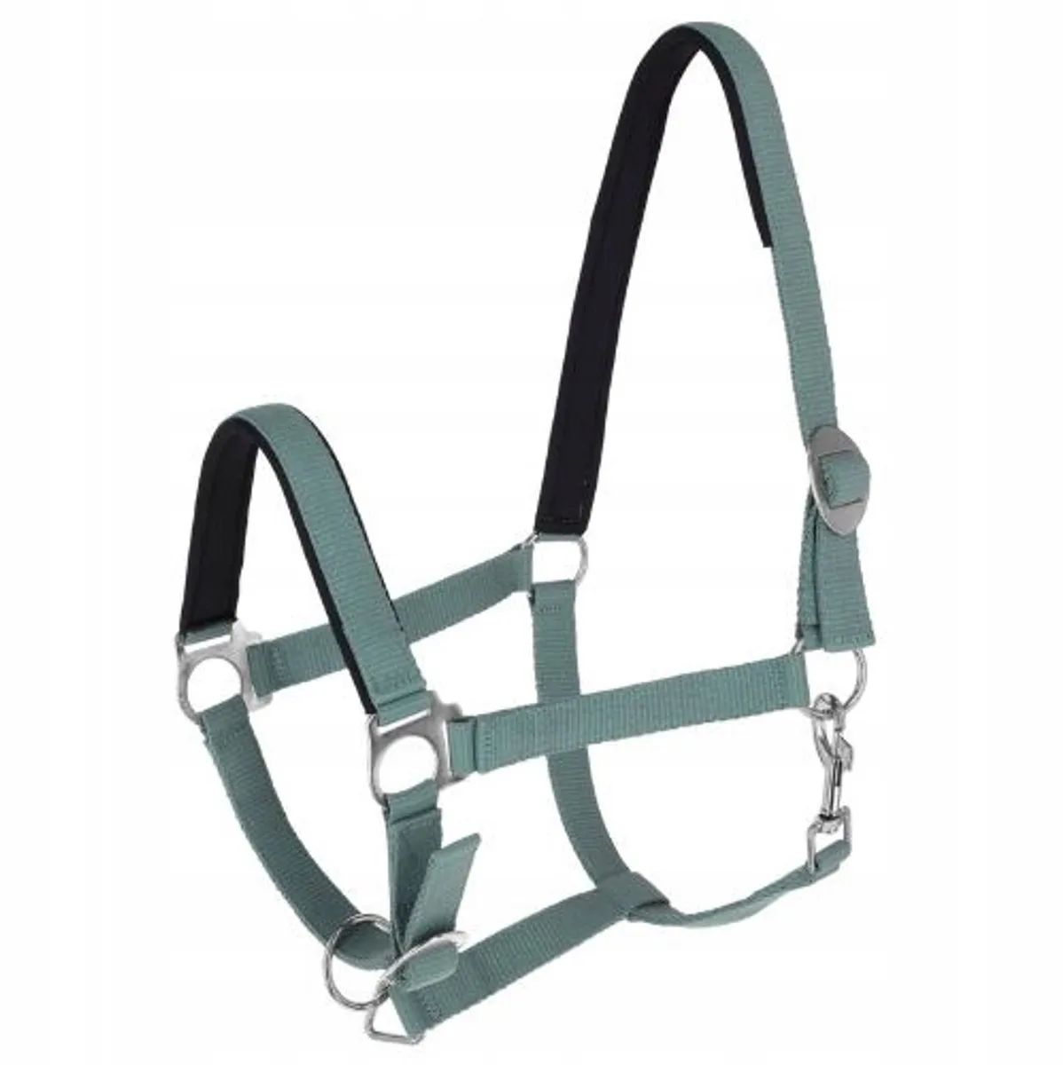 Doria Hoofdband Paard COB - Zacht Gevoerd de Covalliero en Vert – photo produit