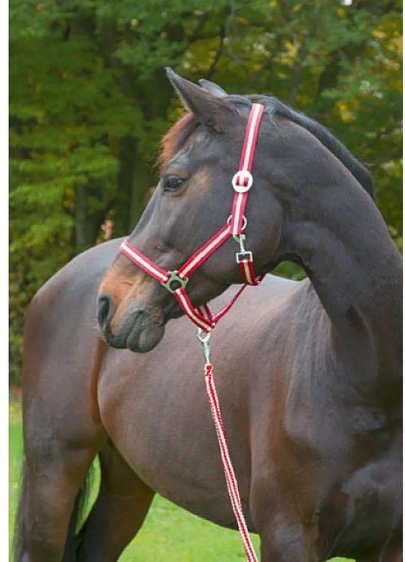 Halster Hippo Bordeaux/Beige Pony från Covalliero i Beige – produktbild