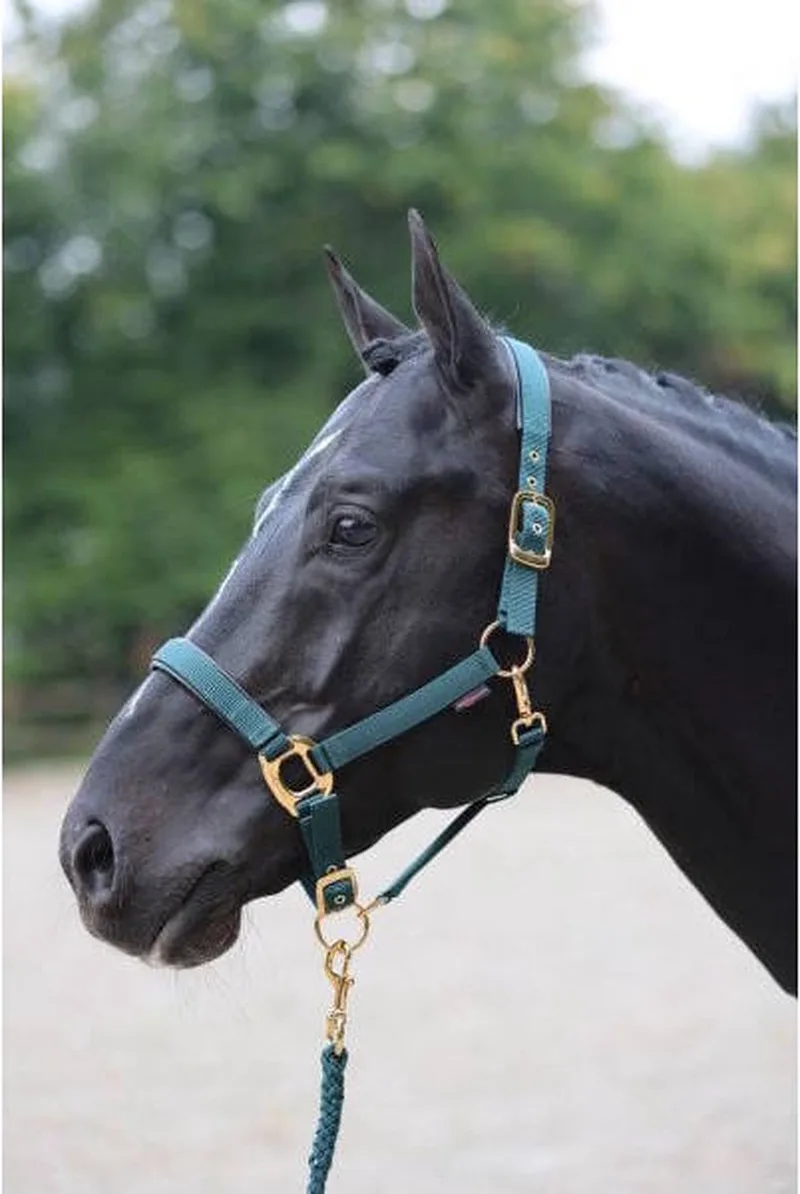 Halster Topline Donkergroen Pony by Covalliero in Green – product photo