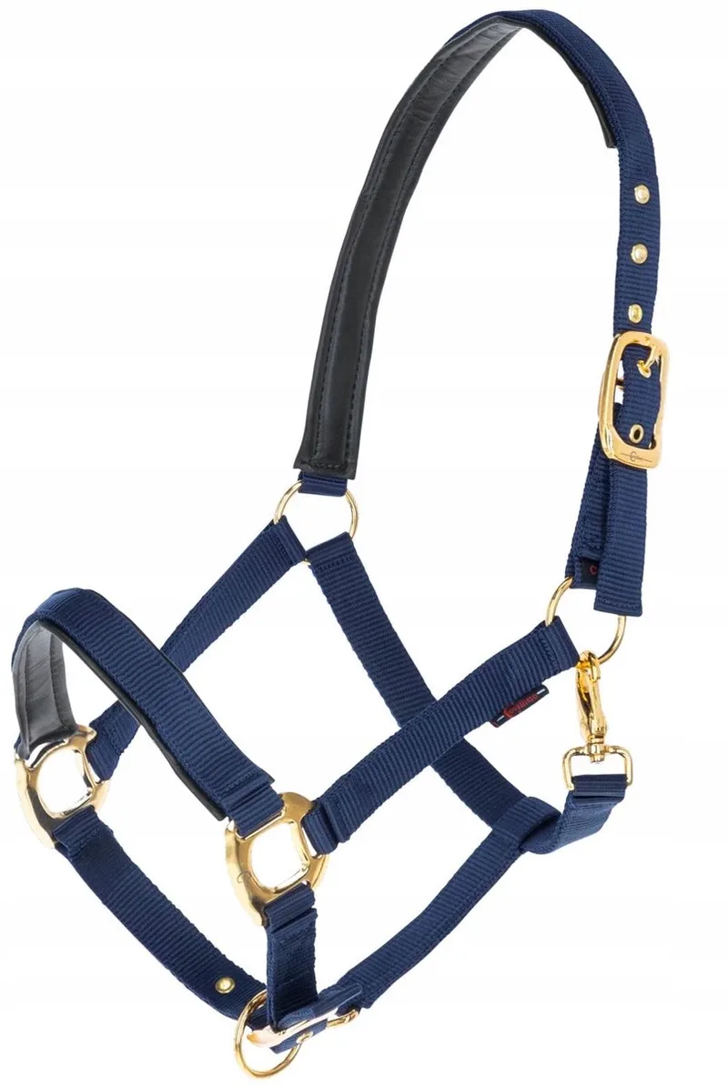 Halster Topline Navy Maat 2 (Cob) - Kwaliteit voor uw paard von Covalliero in Blau – Produktfoto