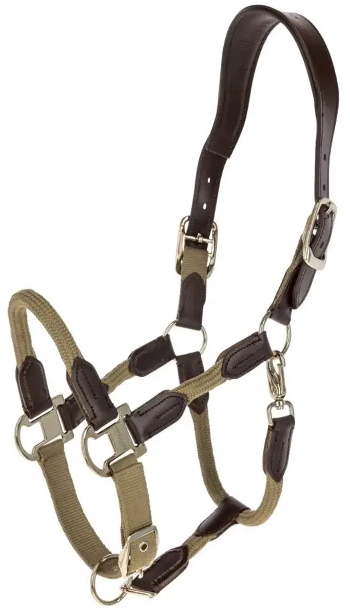 Halster voor paarden Covalliero Cordano Delux by Covalliero in Walnoot – product photo