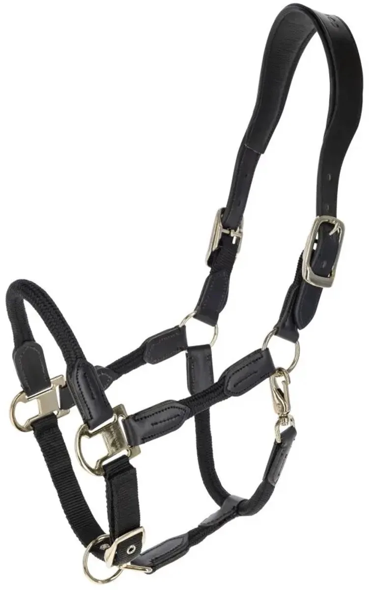 Halster voor paarden Covalliero Cordano Delux de Covalliero en Noir – photo produit