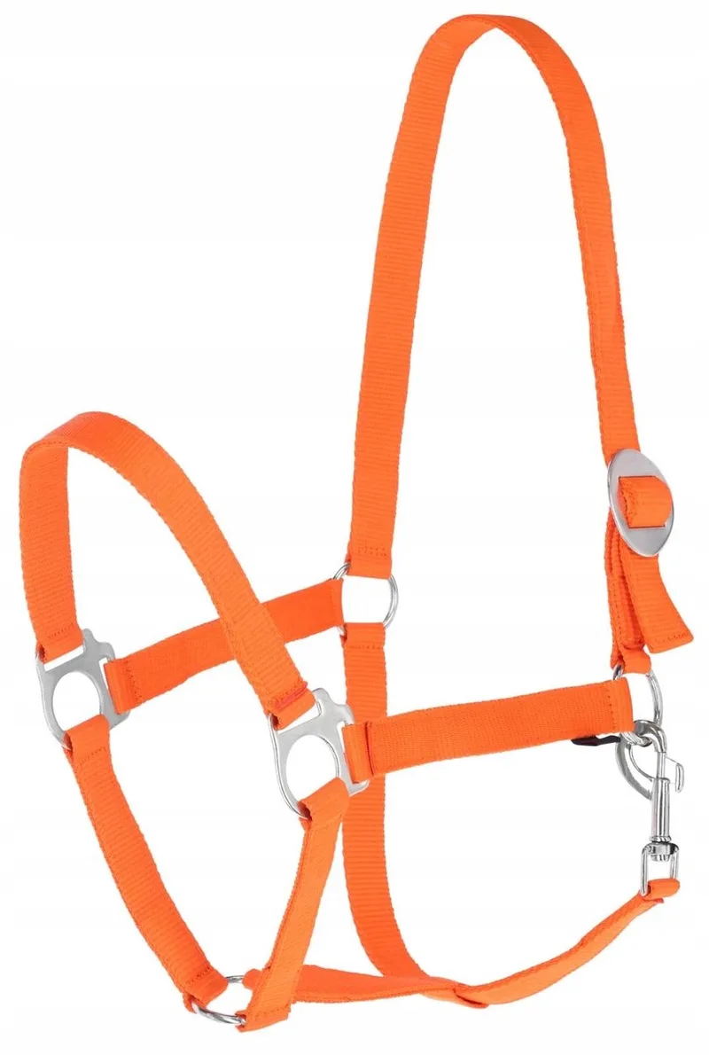 Hippo Halster Paard & Pony Maat Full de Covalliero en Orange – photo produit