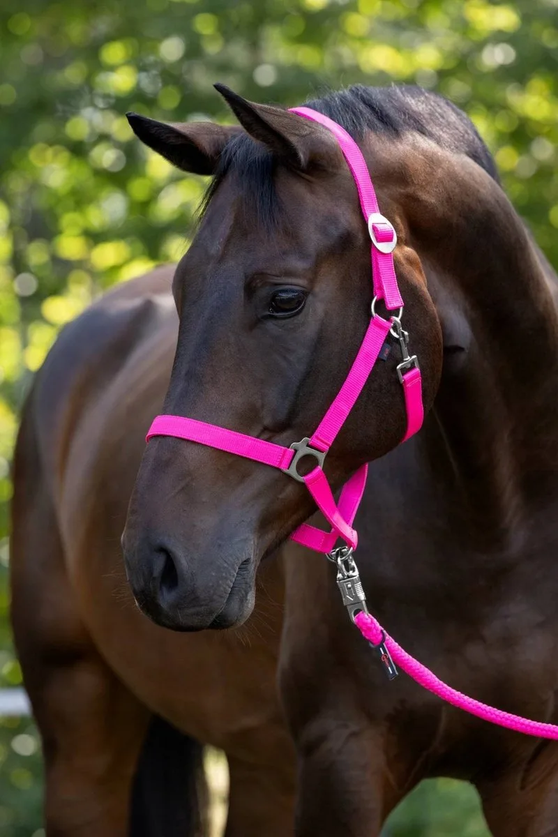 Hippo Hoofdband - Shetty Maat de Covalliero en Rose – photo produit