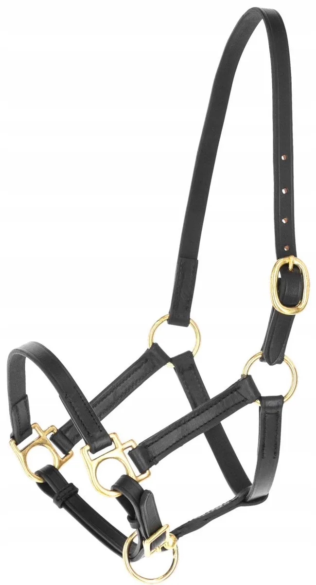 Kerbl Lederen Halster Pony by Covalliero in Black – product photo