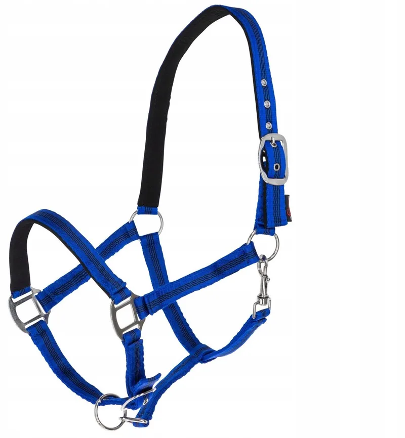 Mustang Halster Blauw-Zwart Full de Covalliero en Bleu – photo produit