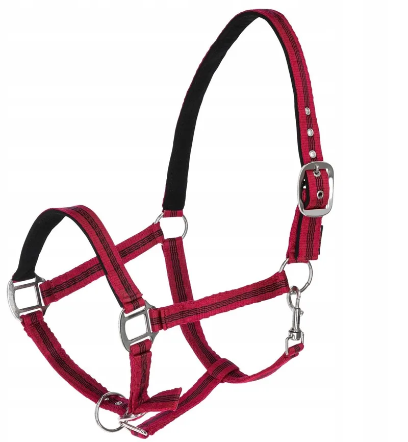 Mustang Halster Pony Rood-Zwart by Covalliero in Red – product photo