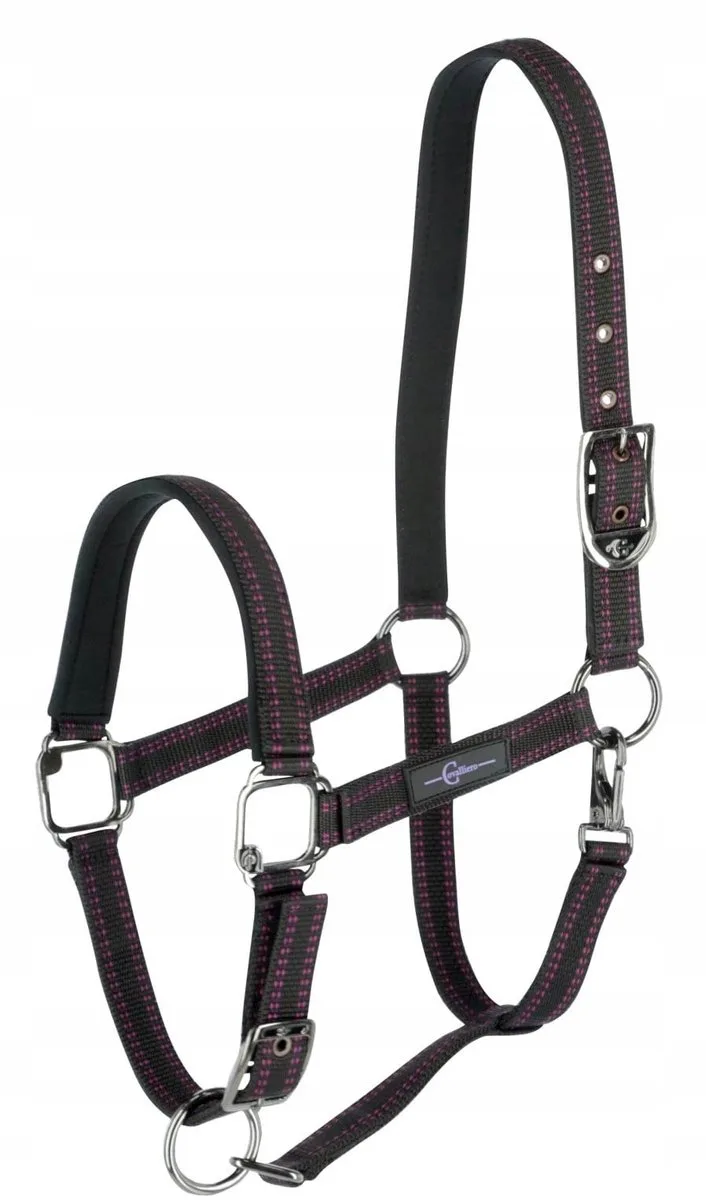 Royal Pony Halster Zwart/Fuchsia Maat 1 von Covalliero in Fuchsia – Produktfoto