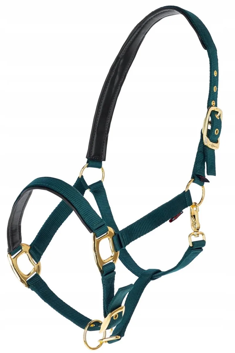 TopLine Halster Maat 2 (Cob) - Kwaliteit & Comfort von Covalliero in Grün – Produktfoto