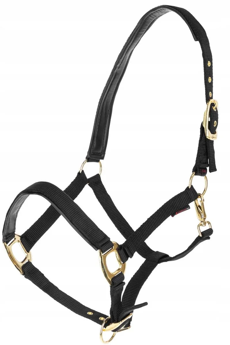 Topline zwarte halster voor paarden, maat XFULL by Covalliero in Black – product photo