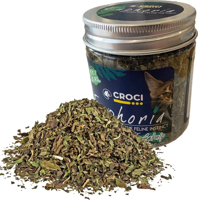 Euphoria Catnip Pot by Croci in Blue – product photo