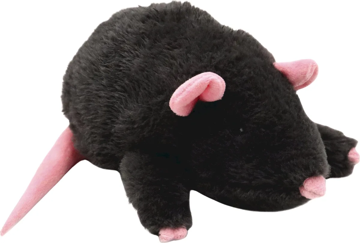 Hundespielzeug Halloween Grosse Ratte - 1 Stk by Croci – product photo