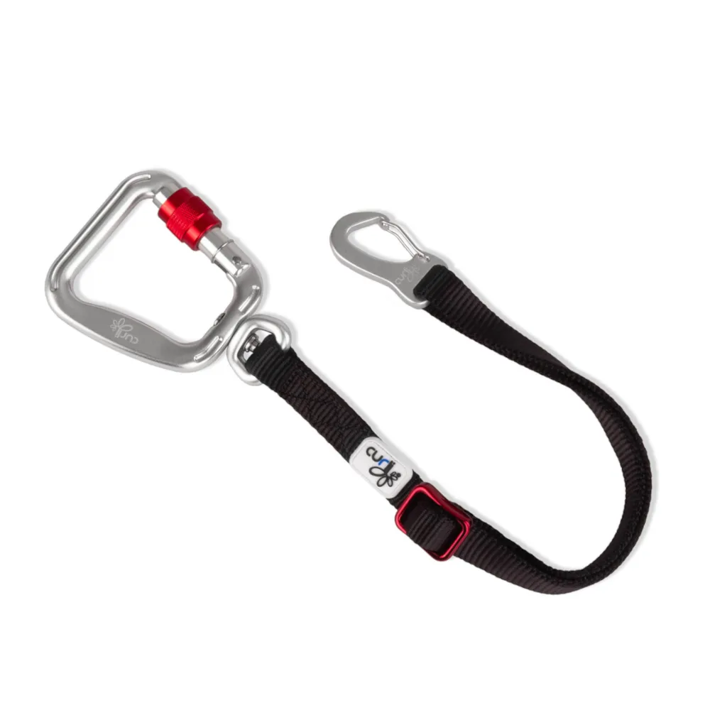 autogordel maat L: 60 cm lang, 20 mm breed Hond de Curli – photo produit
