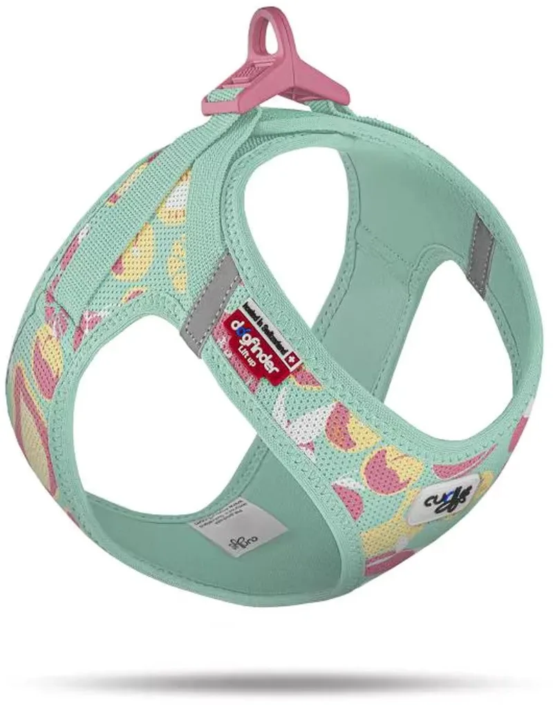 Hondentuig Clasp Vest Harness Juicy Fruits LE26 Maat M 43-49 cm by Curli in Turquoise – product photo
