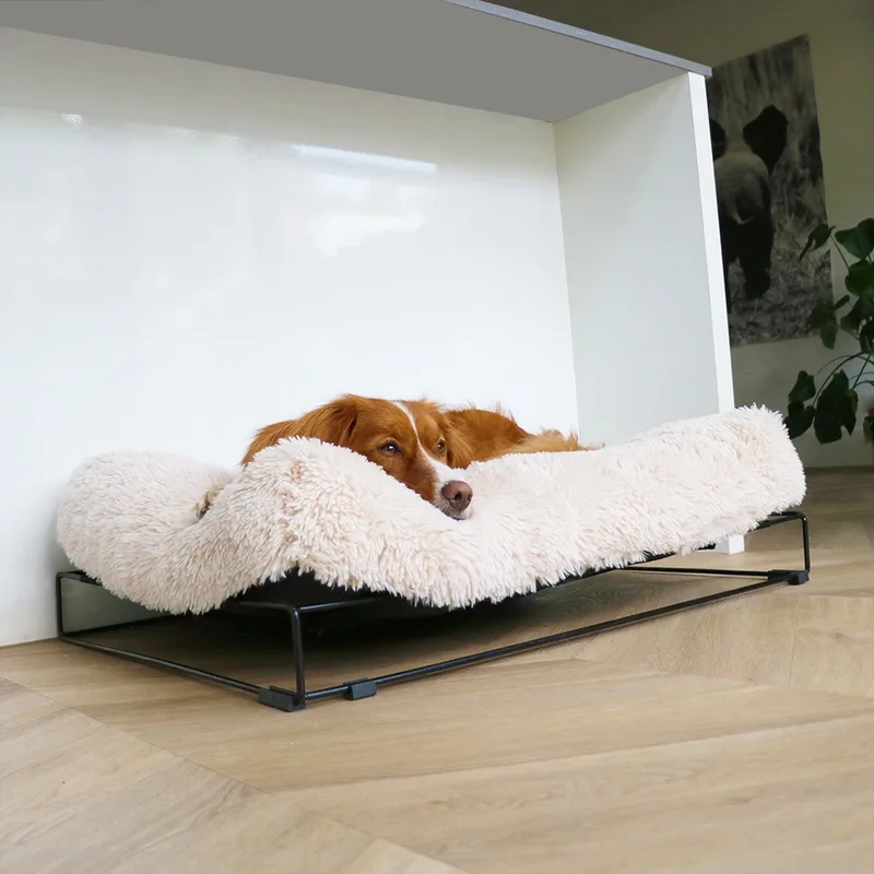 Hond - Amy Kussen Met Frame L - 110x80x25cm - 227259 by D&D Home in White – product photo