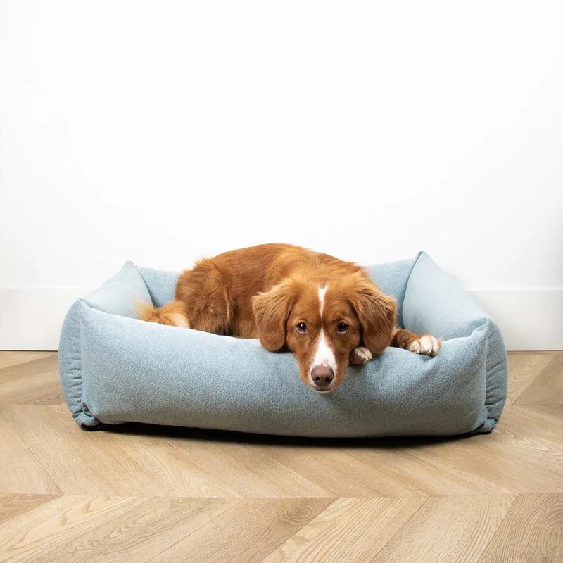 Hondenmand Eden - Waterafstotend met Wasbare Hoes - voor Middelgrote Honden - Medium 90x70x22cm - Blauw by D&D Home in Ocean – product photo