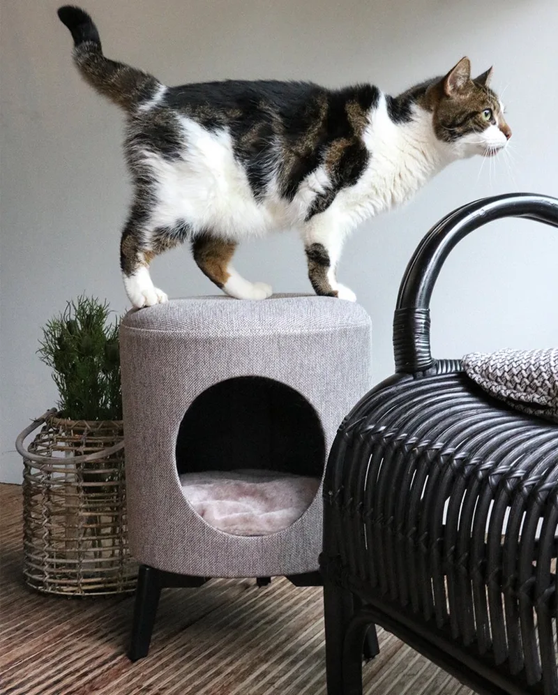 Kattenhuis - Louis fra D&D Home i Taupe – produktbillede