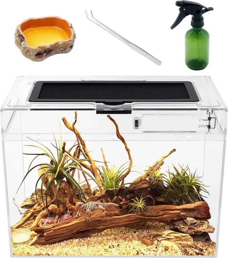 Schildpadden Verblijf - Schildpadden Terrarium - Schildpadden Aquarium - 31cm x 19cm x 24m - Inclusief Accessoires\ by D&D Home in Transparent – product photo